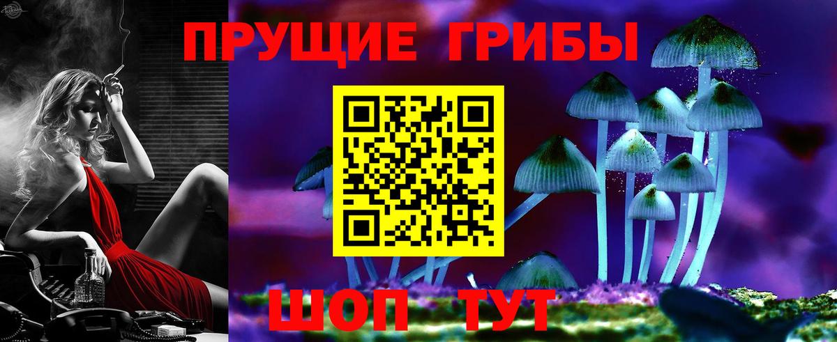 Галлюциногенные грибы Cubensis  Вход с VPN  наркотики  Нижний Новгород 